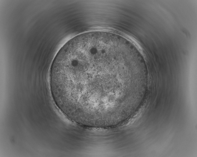 X0000111180907200907221046