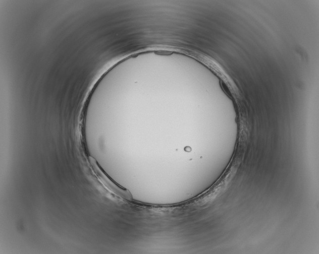 X0000111180908200907221046