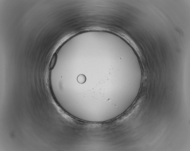 X0000111180909200907221046