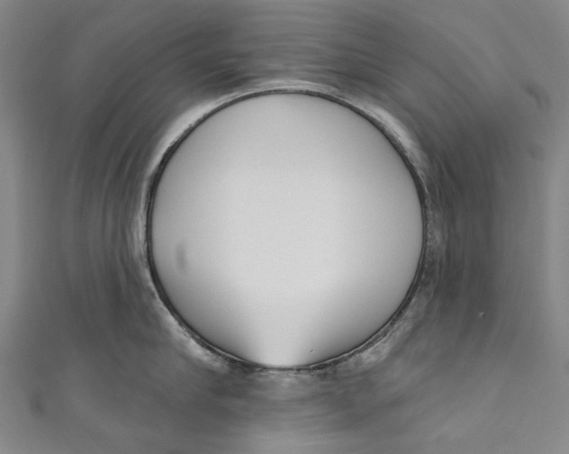 X0000111180910200907221046