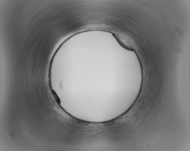 X0000111180912200907221046