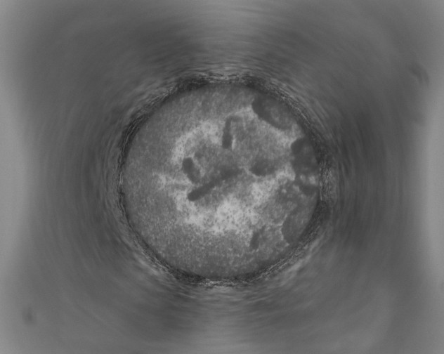 X0000111180913200907221045