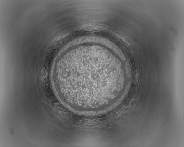 X0000111180917200907221045