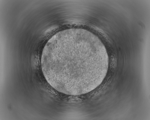 X0000111180918200907221045