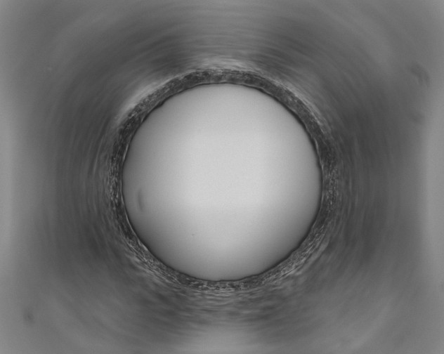 X0000111180919200907221045