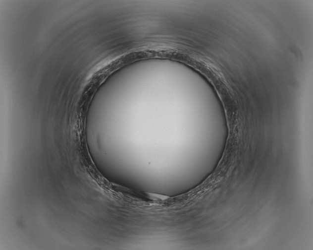 X0000111180920200907221045