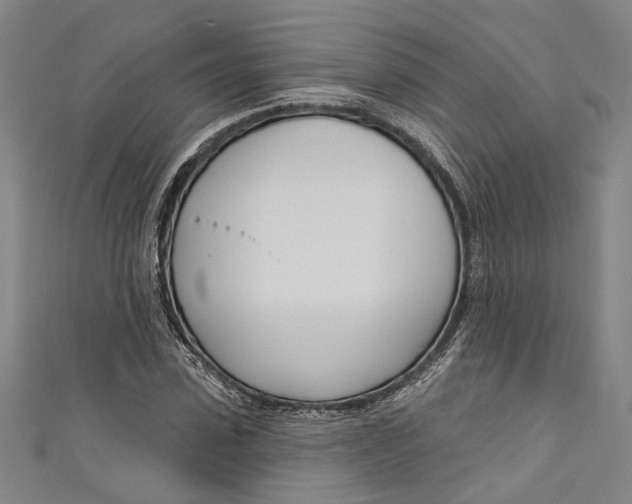 X0000111180923200907221045