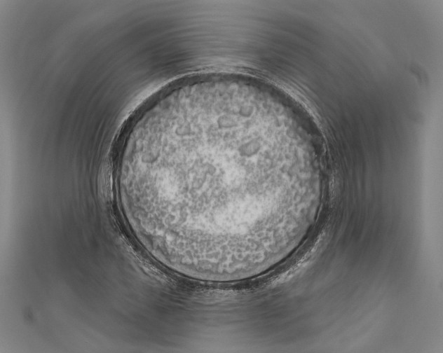 X0000111180925200907221045