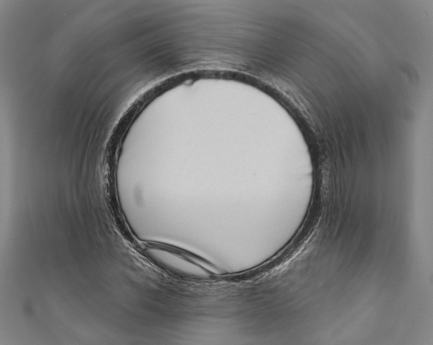 X0000111180926200907221045