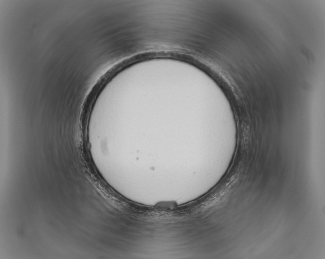 X0000111180927200907221045