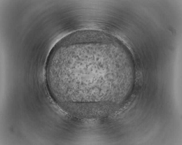 X0000111180928200907221045