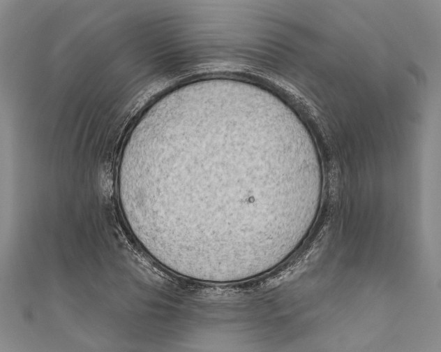 X0000111180929200907221045