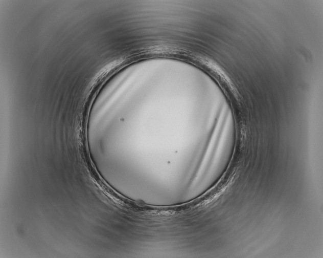 X0000111180930200907221045