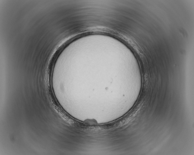 X0000111180931200907221045