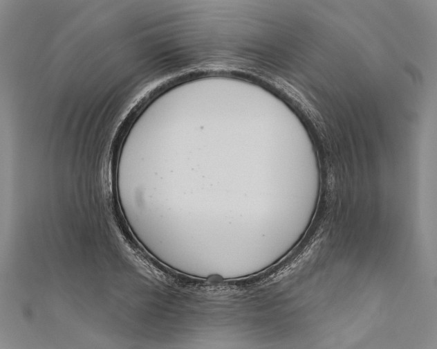 X0000111180934200907221045