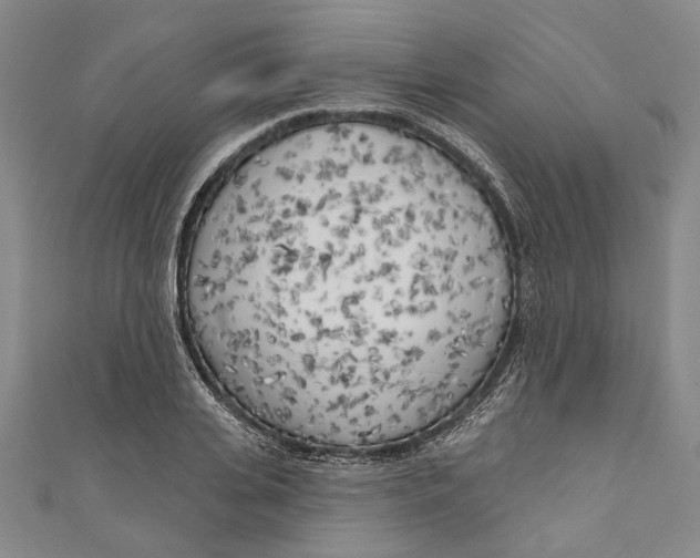 X0000111180935200907221045