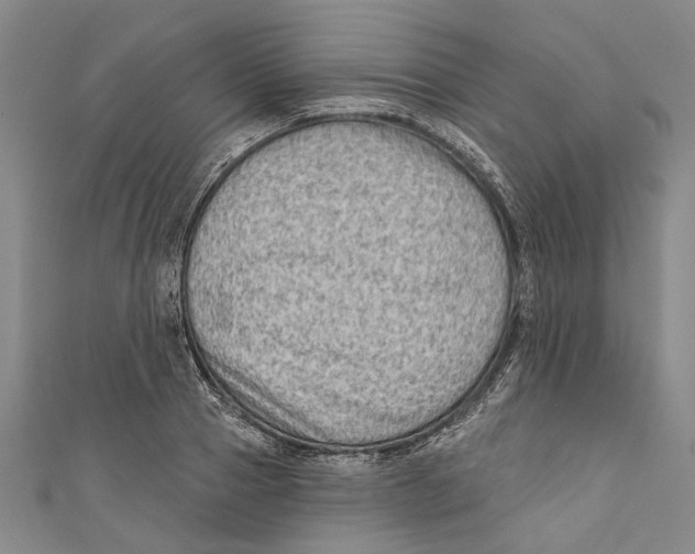 X0000111180937200907221045