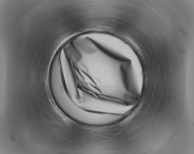 X0000111180940200907221045