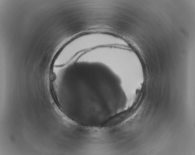 X0000111180941200907221045