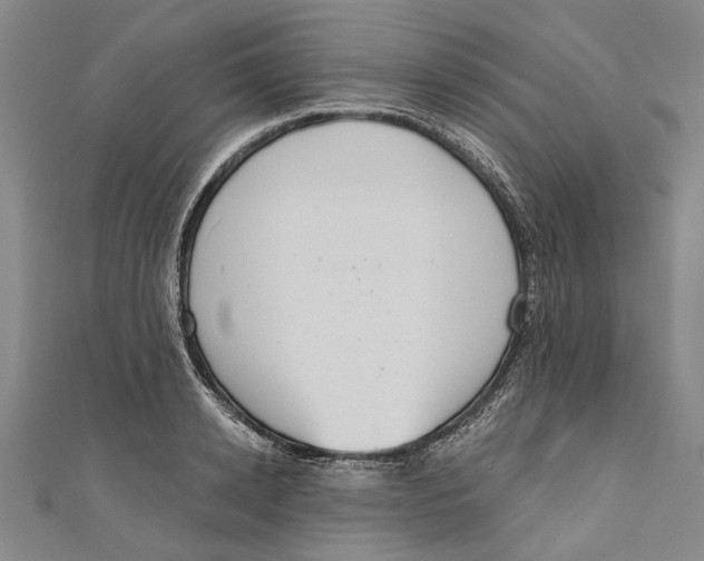 X0000111180942200907221045