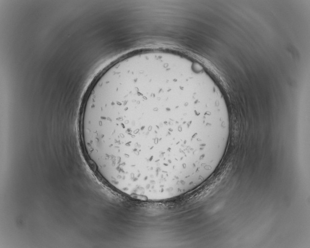 X0000111180943200907221045