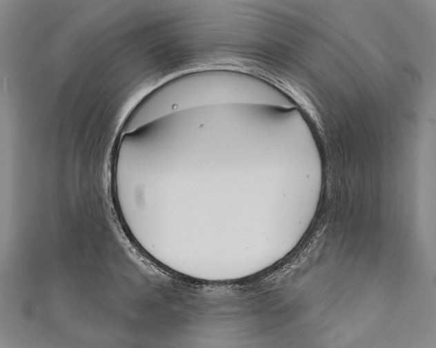 X0000111180944200907221045