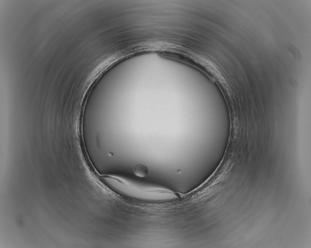 X0000111180946200907221045