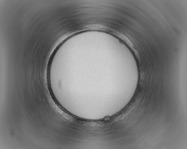 X0000111180947200907221045