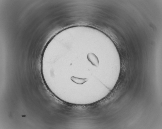 X0000111180950200907221045