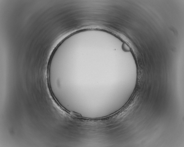 X0000111180951200907221045