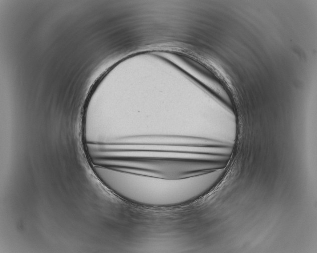 X0000111180952200907221045