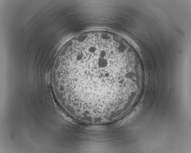 X0000111180953200907221045