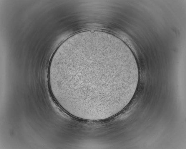 X0000111180954200907221045