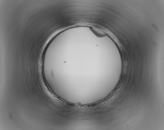 X0000111180955200907221045