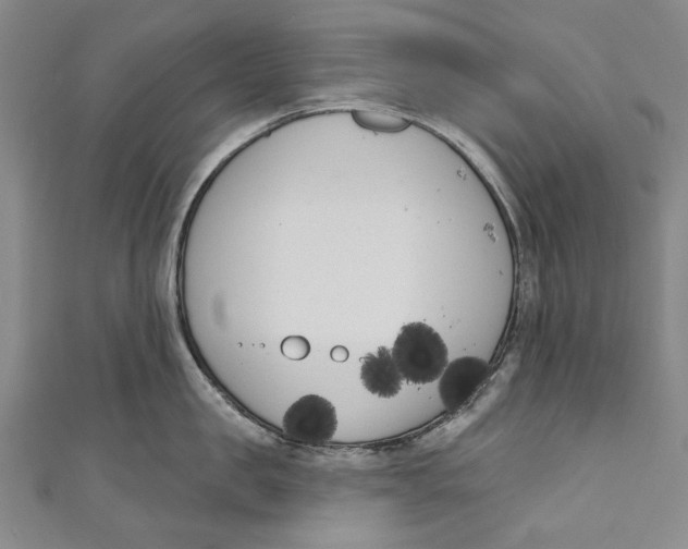 X0000111180957200907221045