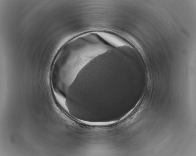 X0000111180958200907221046