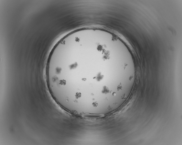 X0000111180959200907221046