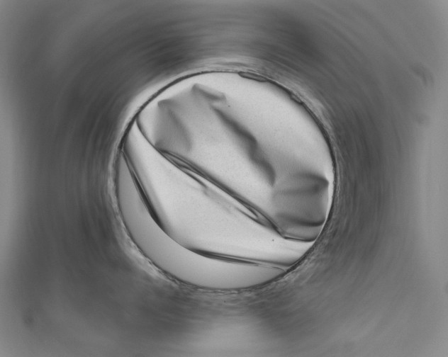 X0000111180960200907221046