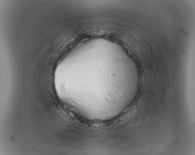 X0000111180961200907221045