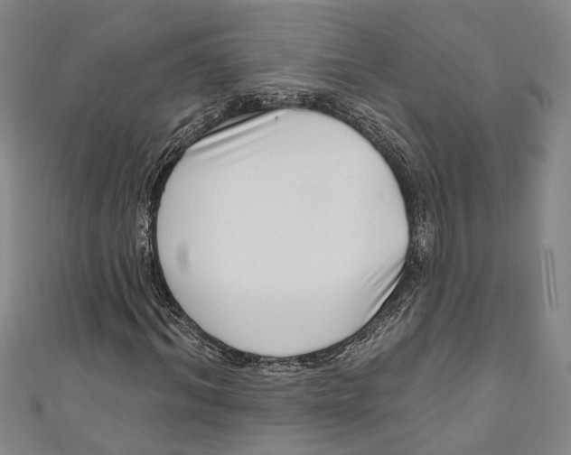 X0000111180964200907221045