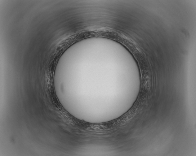 X0000111180966200907221045