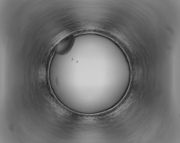 X0000111180969200907221045