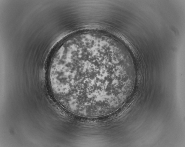 X0000111180975200907221045