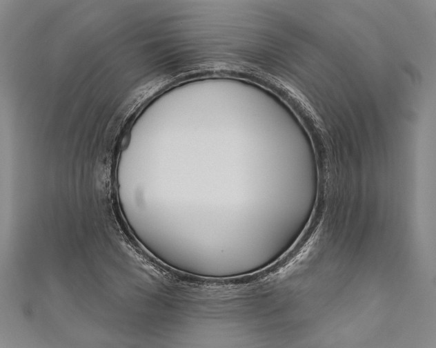 X0000111180977200907221045