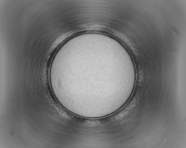 X0000111180978200907221045