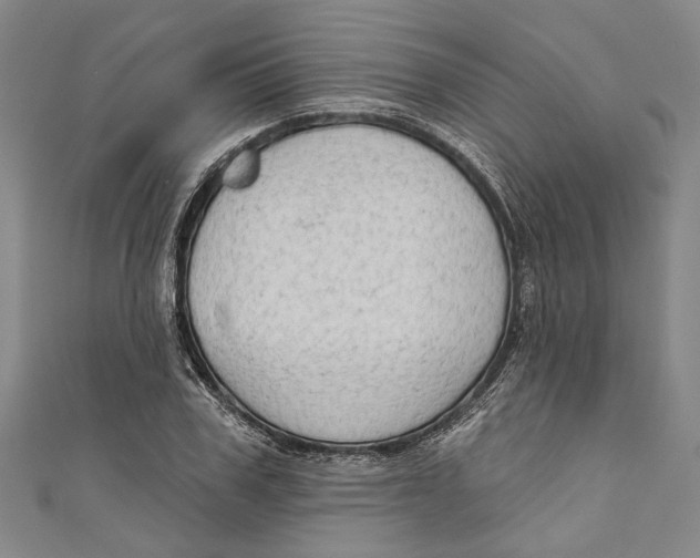 X0000111180979200907221045