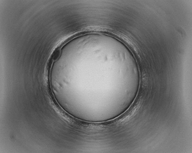 X0000111180981200907221045