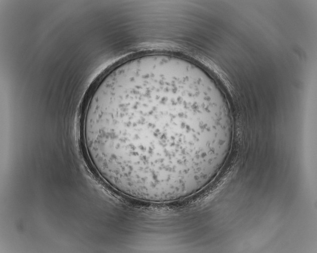 X0000111180983200907221045