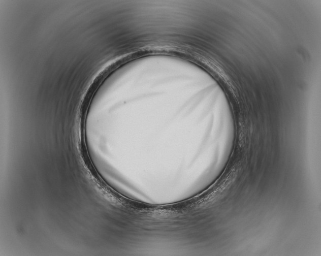 X0000111180984200907221045