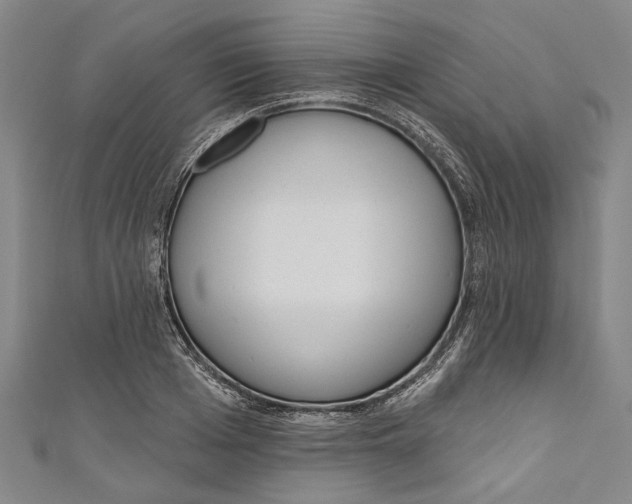 X0000111180985200907221045